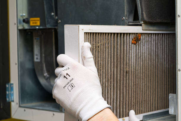 Best Residential Air Duct Cleaning  in Walcott, IA